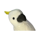 Hector the Cockatoo