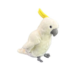 Hector the Cockatoo