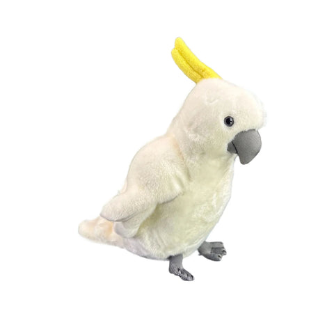 Hector the Cockatoo