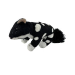 Mini Black Quoll