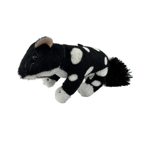 Mini Black Quoll