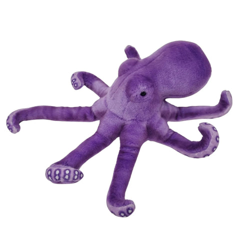Nate the Octopus