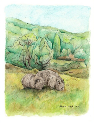 Wombats at Cradle Mountain Greeting Card
