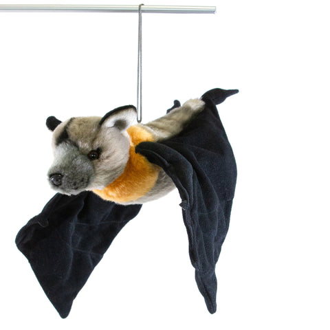 Jett the Flying Fox Fruit Bat